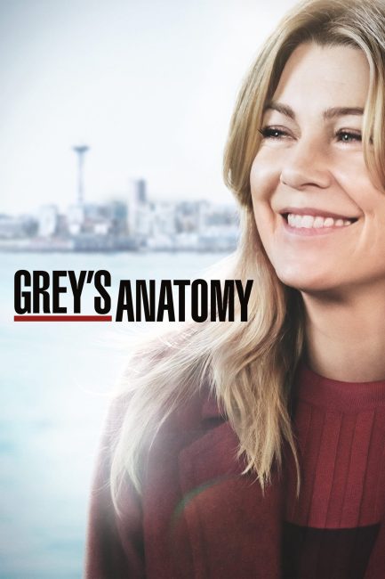 مسلسل Grey’s Anatomy الموسم 15 الحلقة 14 مترجمة